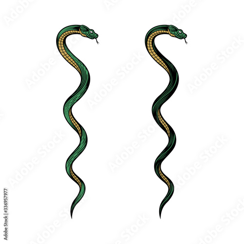 Two twisted snakes. Colorful vector illustration in engraving technique. isolated on white background.