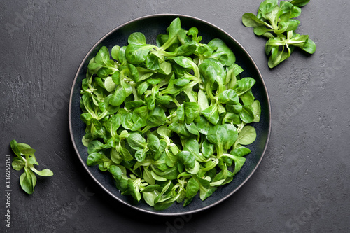 Corn salad leaves or lamb's lettuce in bowl on black background. Valerianella locusta Fresh green salad. Food background