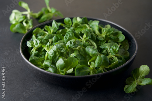 Corn salad leaves or lamb s lettuce in bowl on black background. Valerianella locusta Fresh green salad. Food background