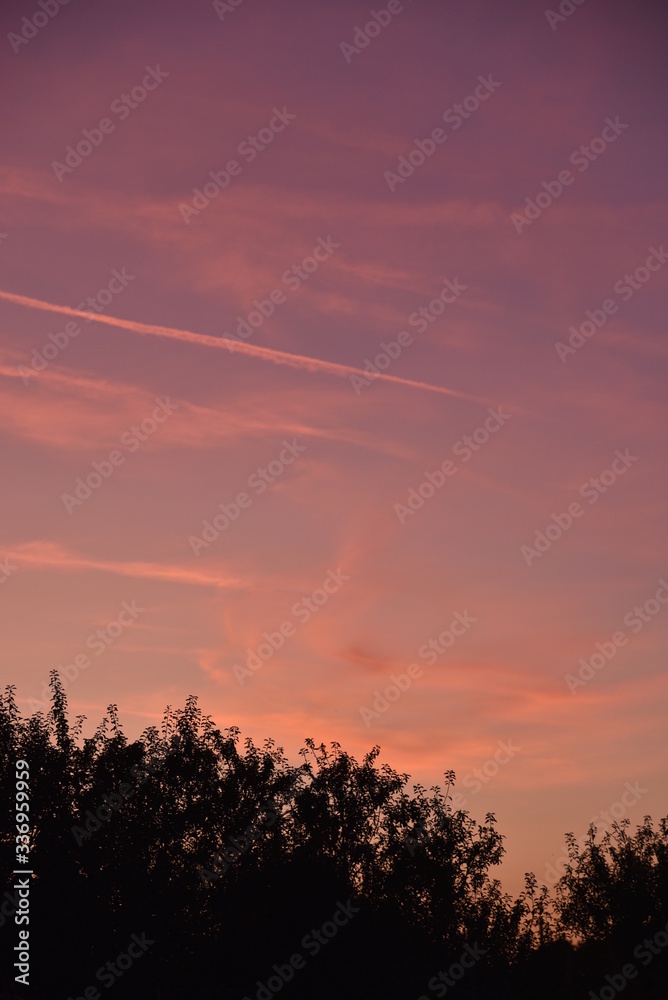 Fototapeta premium sunset