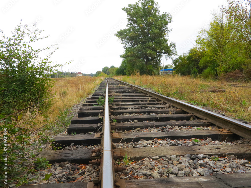railway and rails on wooden sleepers in grass and between trees railway and rails on wooden sleepers in grass and between trees