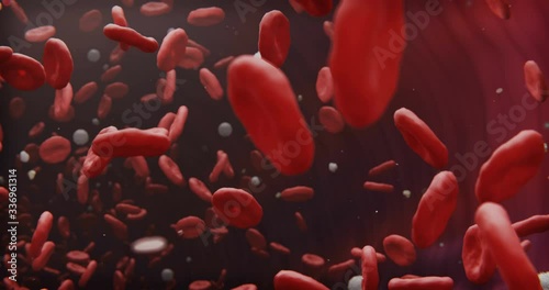Macrophages, red and white blood bodies in a vein.
