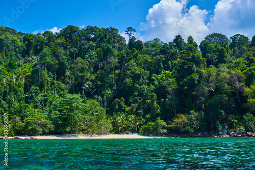 Landscape of the line of the rainforest, from the ocean. Tropical island in Indian Ocean. Uninhabited and wild subtropical isle with palm trees. Blank sand on a tropical island. © eskstock