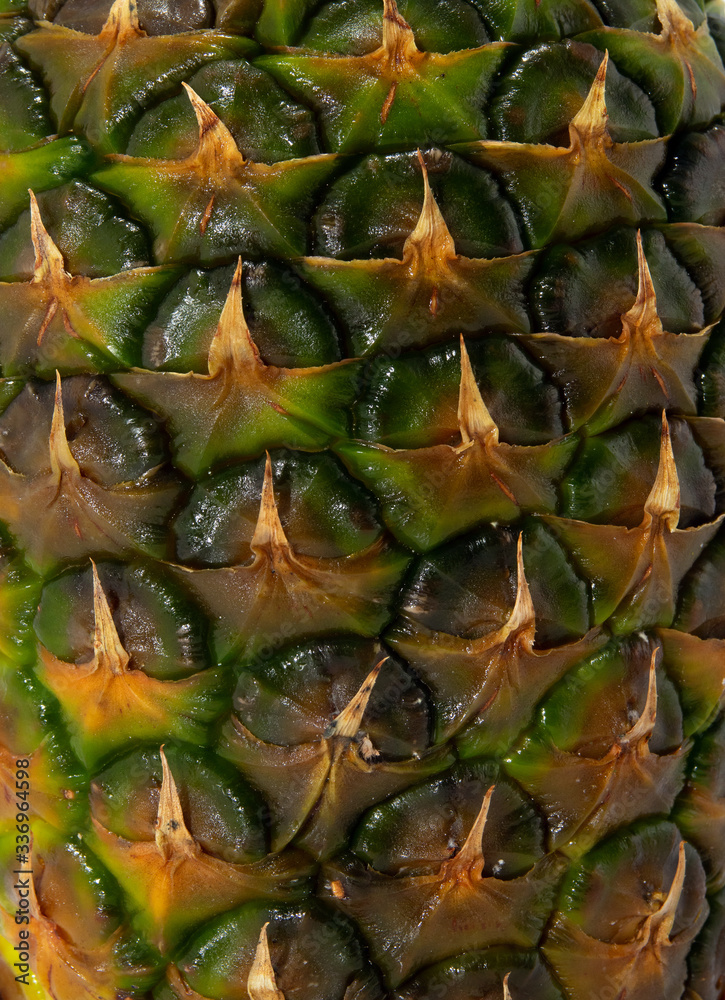 pineapple skin close up shoot pineapple skin close up shoot