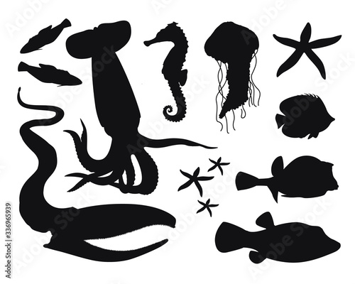 black and white set of marine life  puffer fish  butterfly fish  eel  starfish  squid  jellyfish  seahorse. modern flat vector illustration