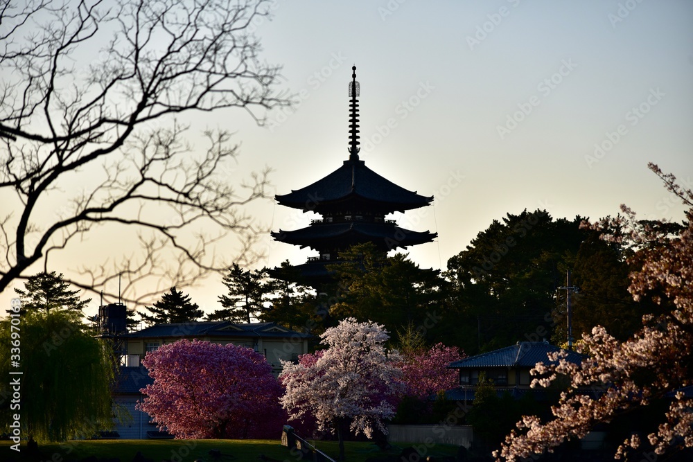 奈良の世界遺産と五重塔と桜