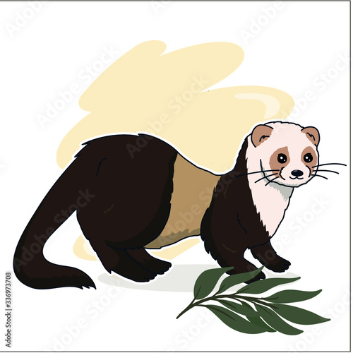 Cute small ferret with leaf
