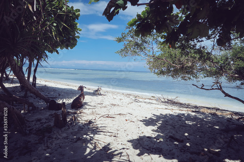 Paisaje playa naturaleza en Bali 