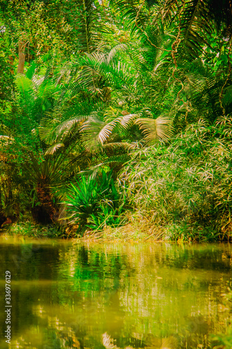 The wild nature. Beautiful landscape of tropical forest with the river. Selective focus. Vertical image.