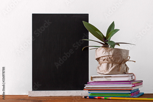 Chalboard, books stack, pencils with green home plant in a pot wrapped in brown kraft paper on white background.Distance education, e-learning, quarantine online learning mockup, back to school banner