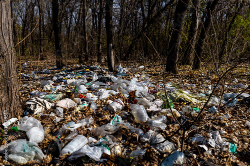 Garbage in the forest. Ecologic problem in not developed countries.