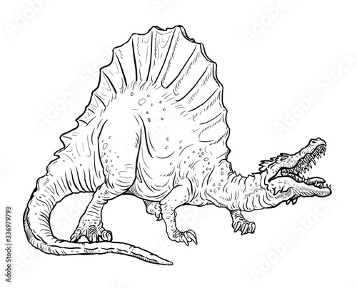Carnivorous dinosaur - Spinosaurus. Dino isolated drawing. 