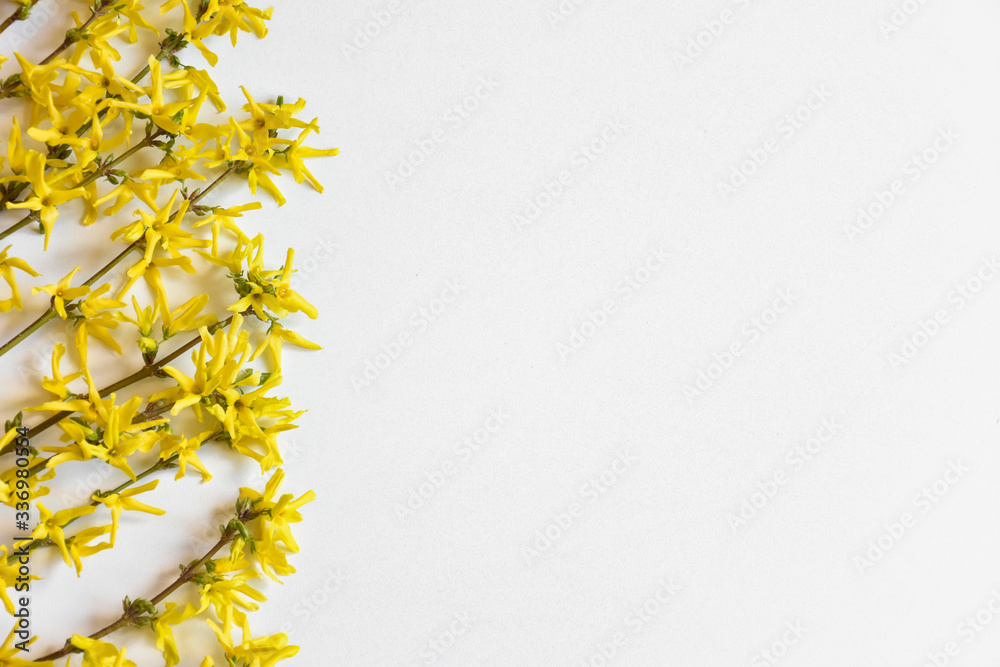 background with flowers
background with flowers