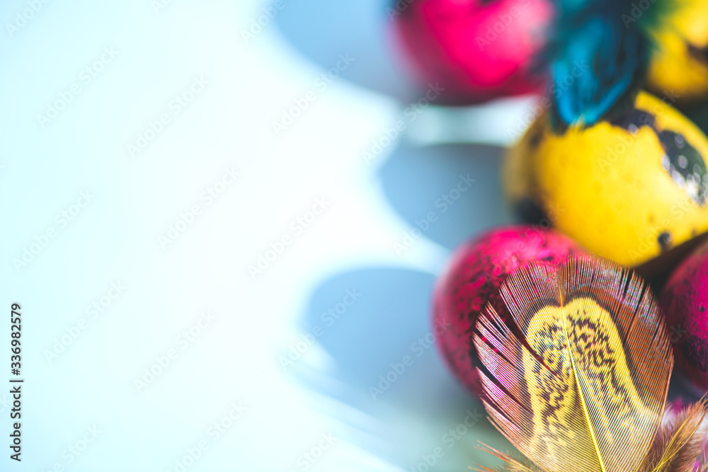Colorful quail eggs are a symbol of the traditional Church holiday of Easter. Copy space.