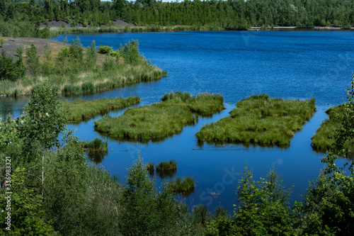 Lake with clear water and blue skies covered with green vegetation