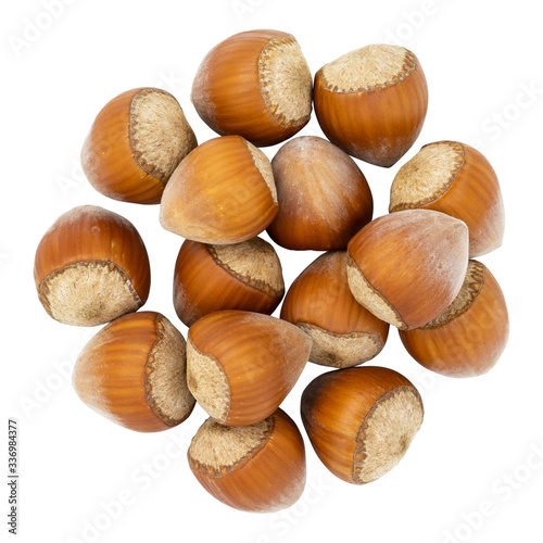 Top view of hazelnuts isolated on white background. Fresh hazelnuts in their shells.