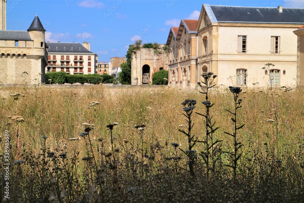 Fototapeta premium Old castle meadow