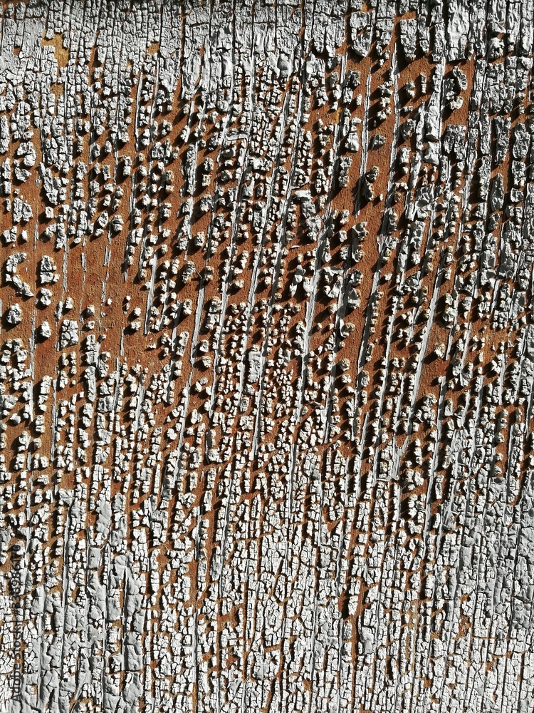 Fototapeta premium Old crackled painted wood texture