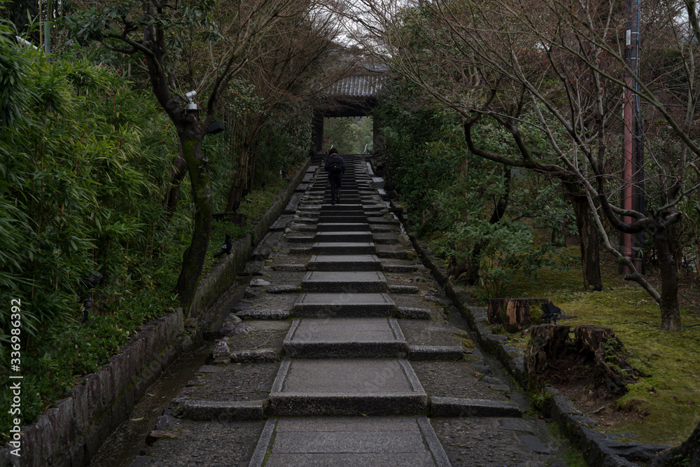 京都東山・雨上がりの朝　高台寺参道