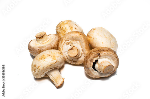 Mushrooms on a white background. Ripe vegetables waiting to be cooked. Space for text