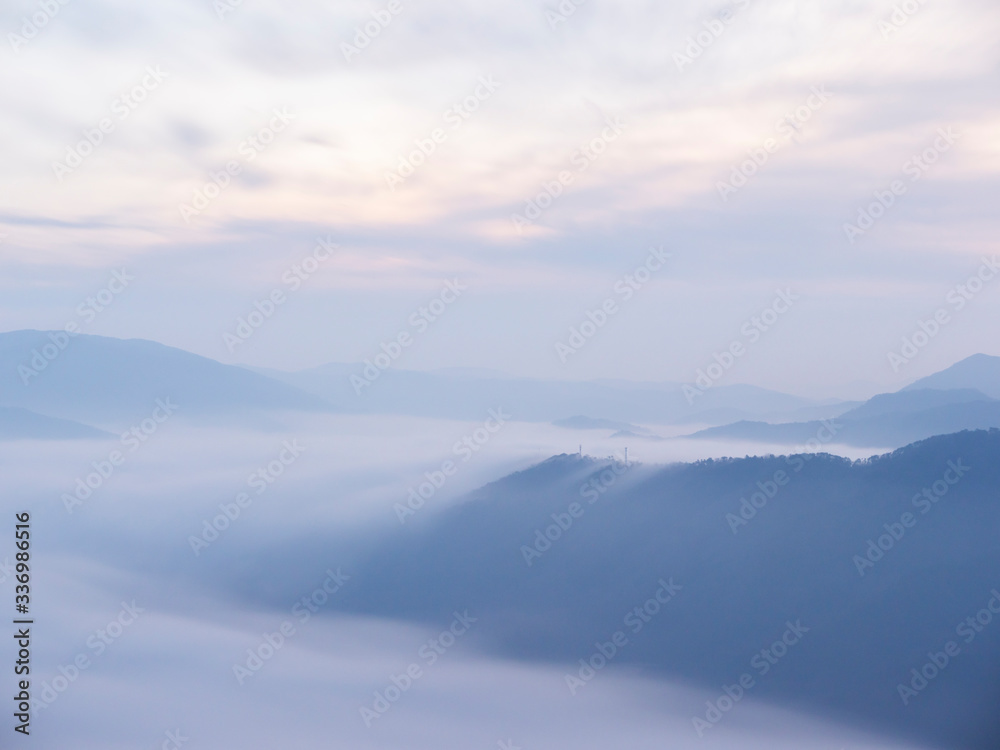 雲海 雲海