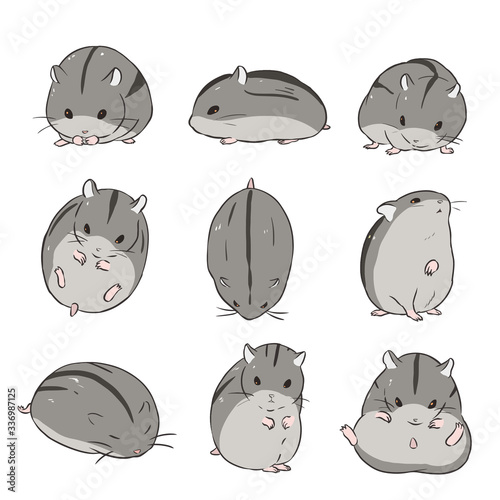 ジャンガリアンハムスター