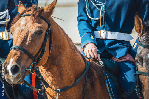 Cossacks in blue uniforms riding on a brown horses.