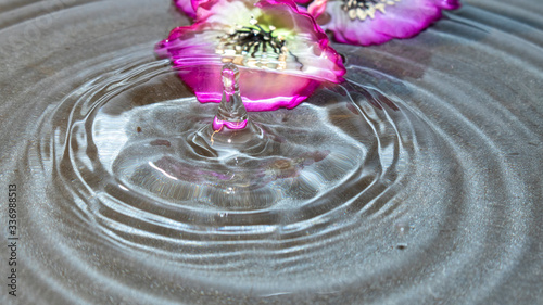 Drop of water falling and creating ripples with a flower at the bottom of the water.