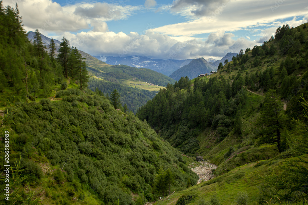 view of the valley in switzerland, summer landscape in the mountains