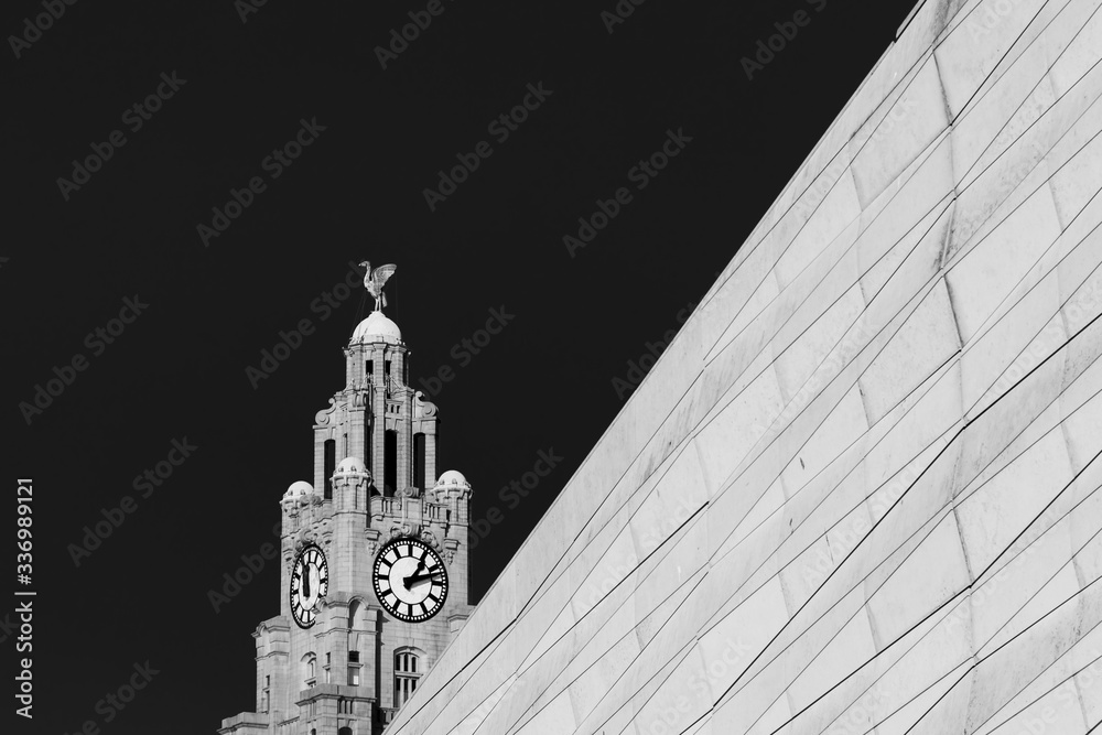 Fototapeta premium Liverbird behind a modern facade
