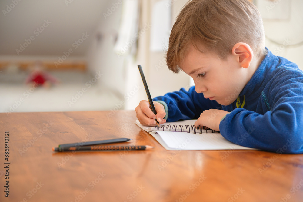 Elementary Boy Learning At Home Elementary Boy Learning At Home