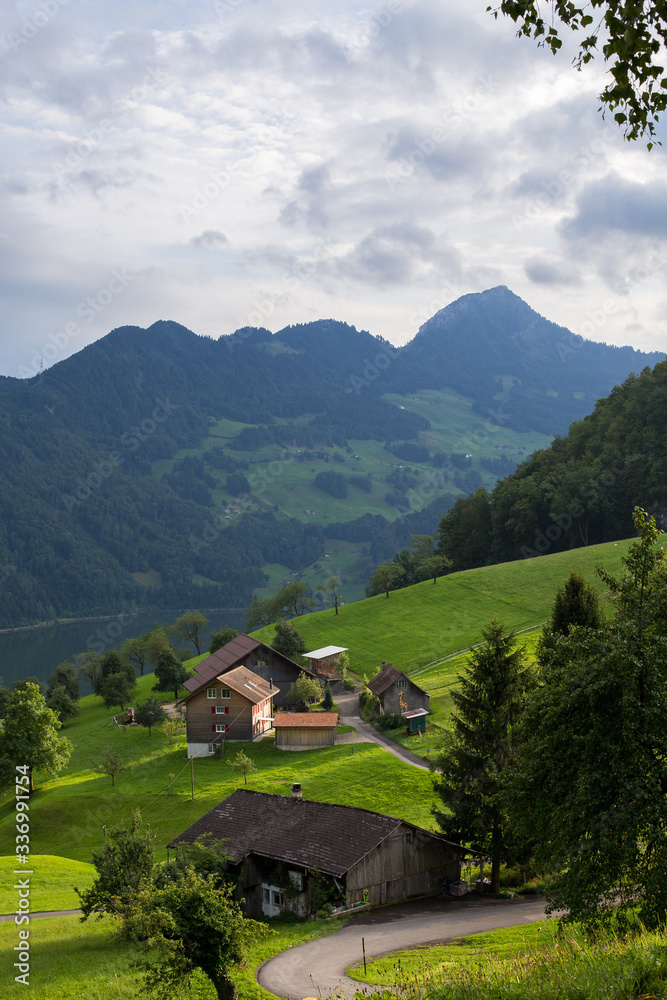 green meadows near mountains in a village in switzerland at sunset green meadows near mountains in a village in switzerland at sunset