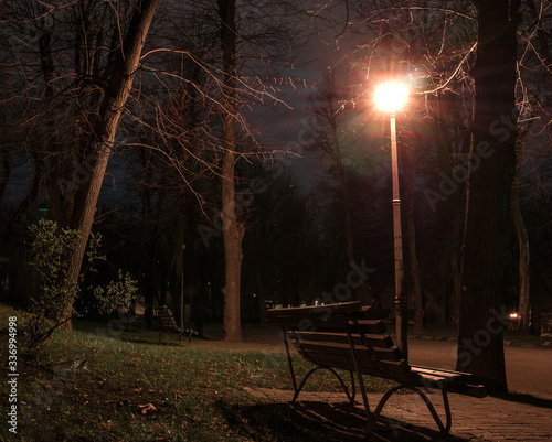 Footpath at night in the park. Alley in the park with light poles and benches