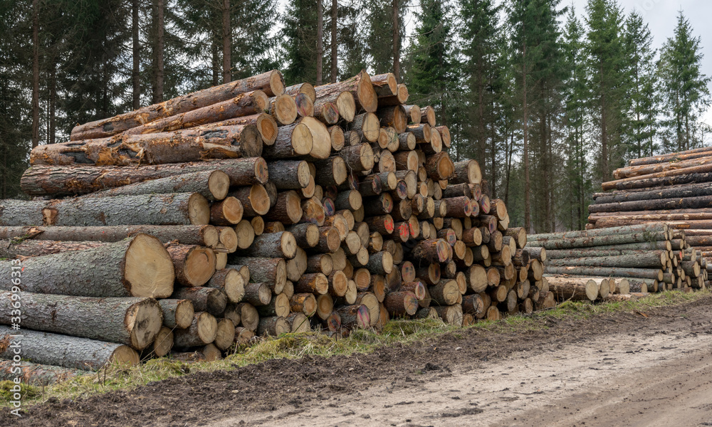 A stack of wooden logs piled on the side of the road A stack of wooden logs piled on the side of the road