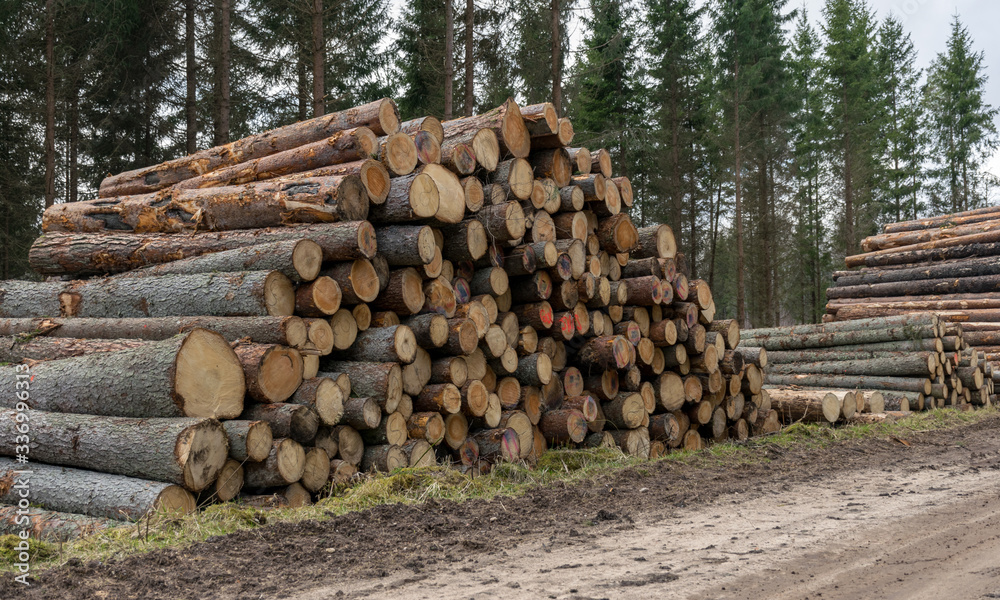 A stack of wooden logs piled on the side of the road