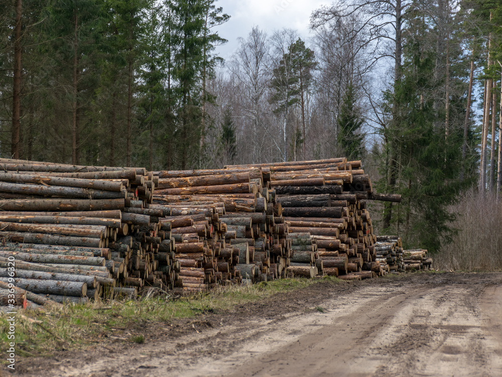 A stack of wooden logs piled on the side of the road