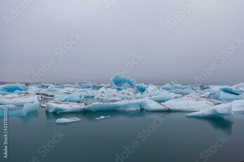 Eisberge in isl  ndischer Gletscherlagune J  kulsarlon  teilweise mit Seehunden. Gletscherabbruch.