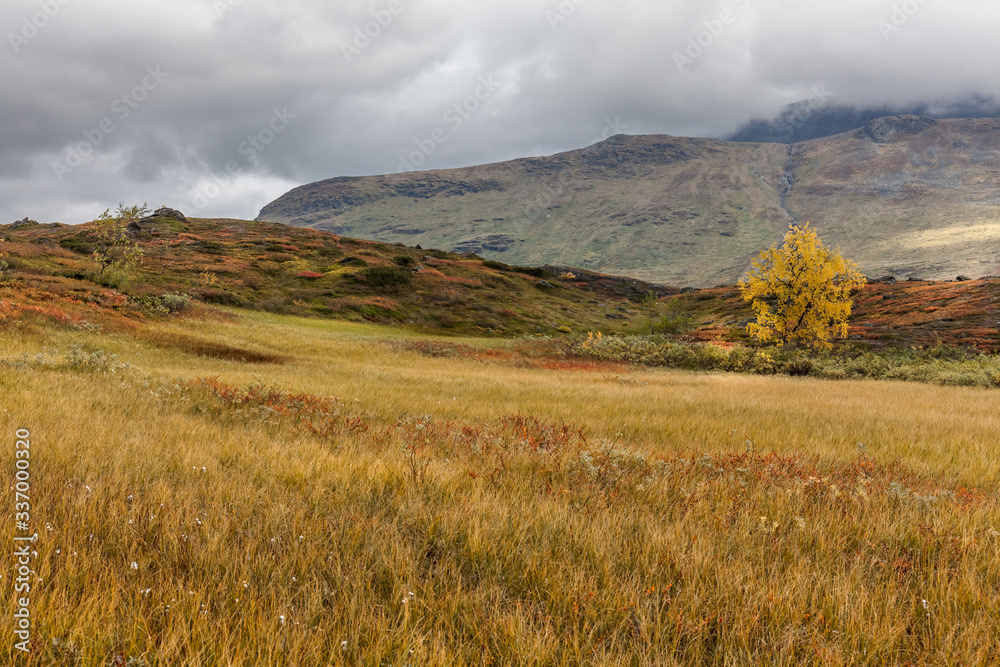 Fototapeta premium the mountain autumn landscape, Sarek national park