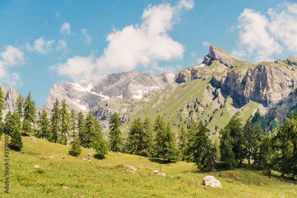 Nature background with beautiful summer alpine valley