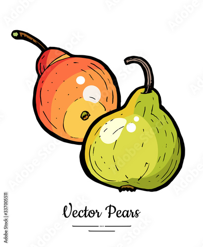 Pears fruits vector isolate. Green red whole pear fruit hand drawn illustration. Trendy food vegetarian sweet ripe fruit icon logo sketch line art style. Pear illustration isolated white background