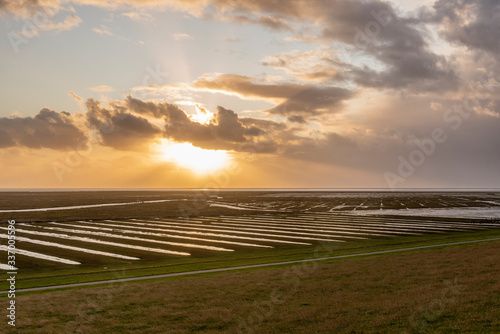 Landscape with salt marshes near Westerhever