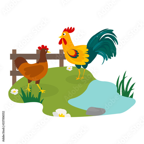 farm birds family cartoon flat illustration. rooster hen chicken.