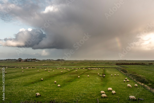 Landscape with salt marshes near Westerhever