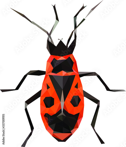 Polynomial firebug, Firebug illustration, Firebug vector draw, low poly apterus, Firebug from triangles 