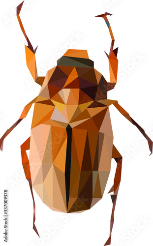 Polynomial may bug, Cockchafer illustration, dor-bug vector draw, low poly beetle, may bug from triangles
