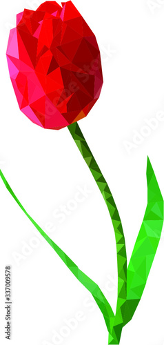 Low poly Spring tulip, Abstract art, tulip illustrarion