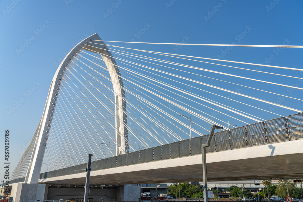 Naklejka premium Konan Ai-Qin Bridge, Central Taiwan Science Park. The new landmark in Taichung City, Taiwan