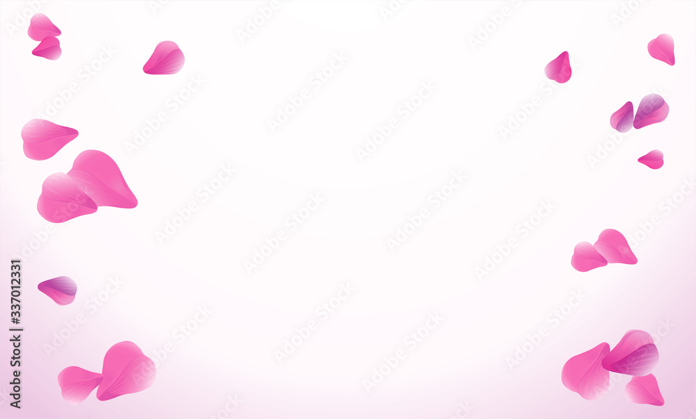 Light Pink Purple flying petals isolated on soft Pink gradient background. Sakura Roses petals. Vector