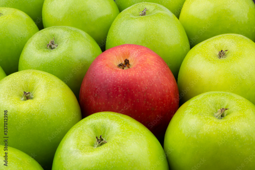 One red apple and many green apples, unique and difference concept One red apple and many green apples, unique and difference concept