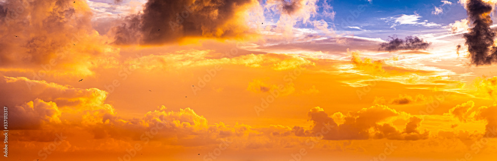 Fototapeta premium sky sunset background